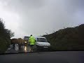Vaques Enmig de la Carretera a Irlanda