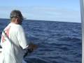 50+ POUND GIANT GREATER AMBERJACK (HIGH-RES)
