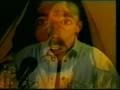 videos de Lauretta