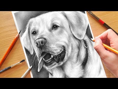 video-linktoworks-HOW TO DRAW A DOG! Realistic Drawing Tutorial Step by Step ...