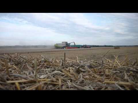Last Field of Harvest 2010
