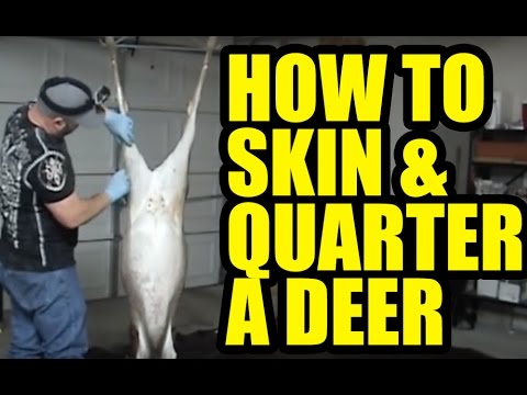 how to skin and quarter a deer