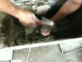 Click here to watch this video Calcite precipitation by indigenous bacteria