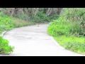 Click here to watch this video ドキュメンタリー映画『はじまりの島』予告編