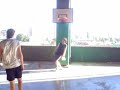 Streetball Dreamers 2 Streetball Dreamers 2