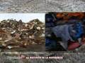 videos de ProvinciaIn 46 2008