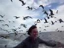 Spencer flies Spencer flies