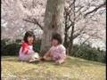 涙をとどけて