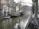 Ms. Wallach (and Friends) Go to Holland Ms. Wallach (and Friends) Go to Holland