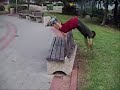Training day free run Training day free run