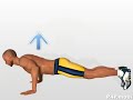 Perfect Six Pack Abs