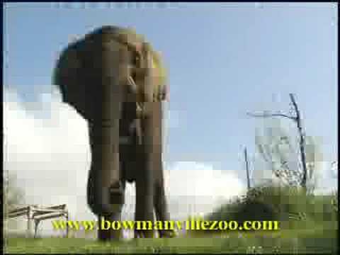 See video
