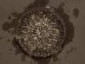 diy synth cymatics water