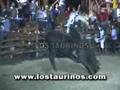 TORO EL DESPRECIO - LOS TAURINOS MONTA DE TOROS COSTA RICA