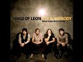 Kings Of Leon – Use Somebody