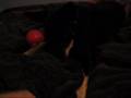 videos de Fun and games