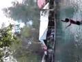 bachi 2 en el agua fria 2