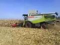 Harvest in Germany 2007