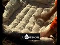 adsorb oil
