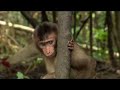 101 East - Special: Tribes of Borneo - 16 Aug 07- Part 1
