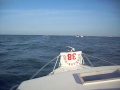 SEABASS CHAUSEY.wmv