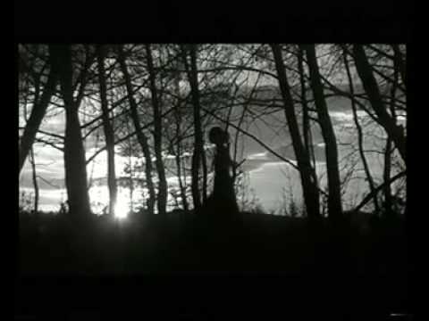 Video de Is It Fiction? de Love of Lesbian