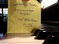 Hakkai no Theme (Piano) - Gensoumaden Saiyuki