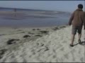 Montauk Shenanigans