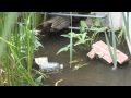 Life time Water | Free Water Test Toronto | Free Water Filter