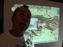 Ocean Life - Molluscs