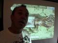 Ocean Life - Molluscs