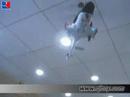 Nice 4CH Airwolf Helicopter