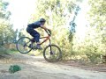 Asseiceira Bike Jumps