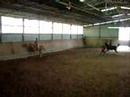 un peu de galop