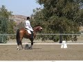Serra 09.06.08 1st level test 3- 68.8% (KrackC x Wagner)