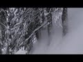 Videoyu Görüntüle