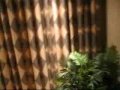 New York New York Hotel in Las Vegas review