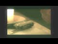 An animal ( dvx100 )