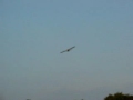 Depron r/c  EDF Fun jet