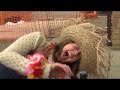 INTERNET ZOMBIE MOVIE - TEASER TRAILER 1 INTERNET ZOMBIE MOVIE - TEASER TRAILER 1