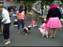Pre-Parade