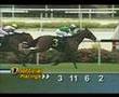 Desbocado - Winning Race - 11-Nov-07