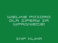 pierwszy koncert zipery w stanach zjednoczonych ktory odbyl sie w nyc