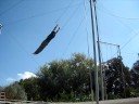 10/5/08 swingin\