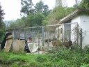 Mas sobre la perrera de Mieres Mas sobre la perrera de Mieres