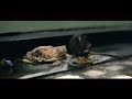 Littery Fairy - Uncensored - TV Ad - Euro RSCG London