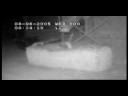 DEFRA TB video 4 DEFRA TB video 4