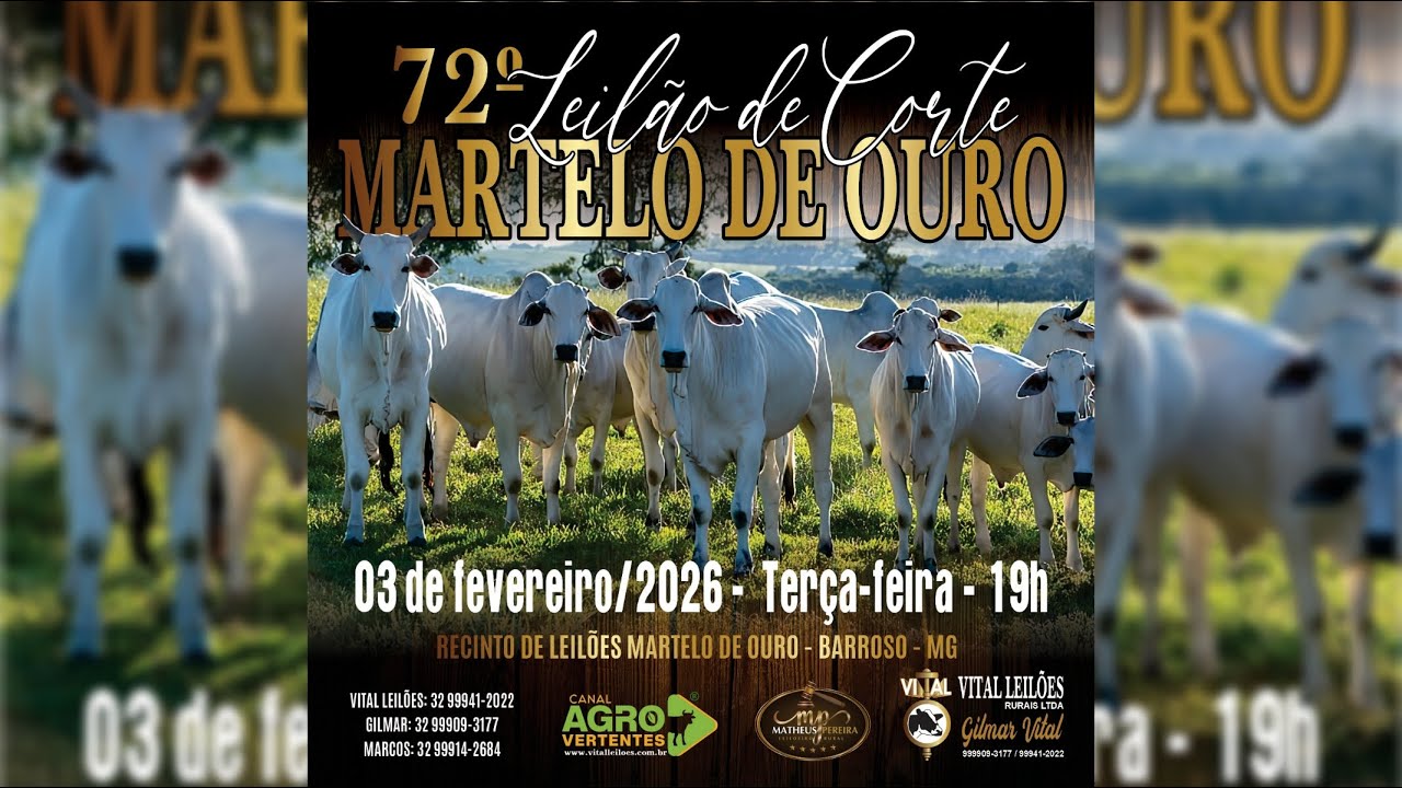 72º LEILÃO MISTO MARTELO DE OURO - 03/02/2026