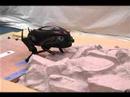 littledog robot