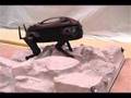LittleDog Robot